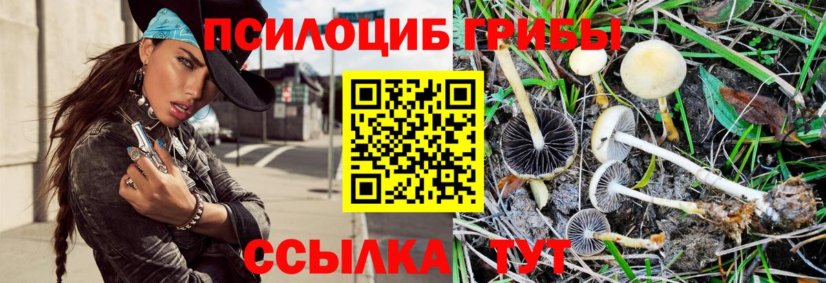 Псилоцибиновые грибы MAGIC MUSHROOMS  Воронеж 